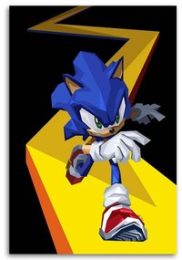 Gario Obraz na plátne Sonic - Nikita Abakumov Rozmery: 80 x 120 cm