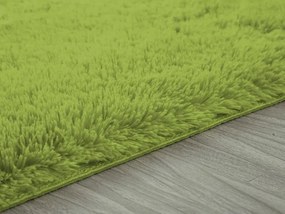 TZ Zelený obdĺžnikový shaggy koberec Lana Rozmer: 120x170