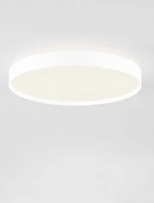 LED stmievateľné biele moderné stropné svietidlo Roi 50