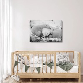 Obraz - Ľadové medvede (90x60 cm)