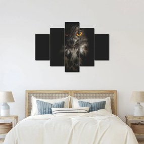 Obraz sovy (150x105 cm)