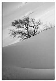 Obraz na plátne - Červené piesočné duny - obdĺžnik 7133QA (75x50 cm)