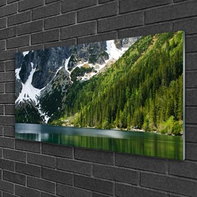 Skleneny obraz Jazero les hory príroda 125x50 cm