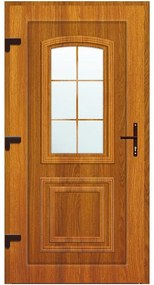 Dvere vchodové Rijeka D34 98x198x7 90L zlatý dub