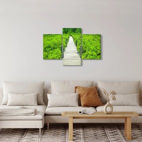 Obraz - drevený chodník (90x60 cm)