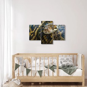 Obraz - Pytón (90x60 cm)