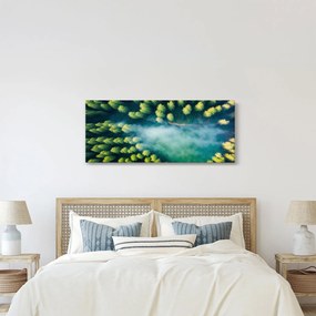 Obraz - Hmlou zahalený les (120x50 cm)