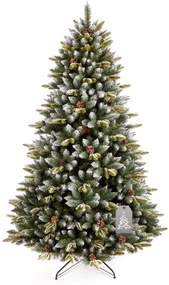 Vianočný stromček Smrek Pyrenejský 250 cm