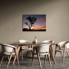 Obraz - Strom a červánky (70x50 cm)