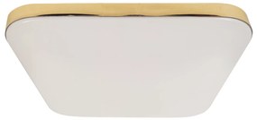 Stropné LED svietidlo Nemo, 1x LED 17w, 4000k, g