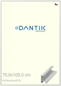 DANTIK rám na obraz 70x100 | ALU Stříbrná matná (Plexi Čiré)