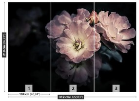 Fototapeta Vliesová Ružová ruža 208x146 cm
