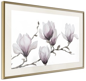 Artgeist Plagát - Painted Magnolias [Poster] Veľkosť: 90x60, Verzia: Zlatý rám s passe-partout