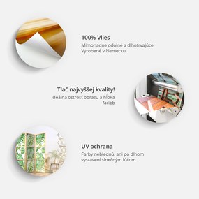 Artgeist Japonský paraván - Japanese Style: Fuji Mountain [Room Dividers] Veľkosť: 135x161