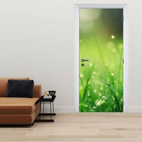 Fototapeta na dvere - Rosa na tráve (95x205cm)