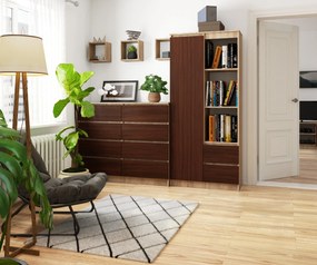 Regál Rehana  (dub sonoma + wenge). Vlastná spoľahlivá doprava až k Vám domov. 1069794