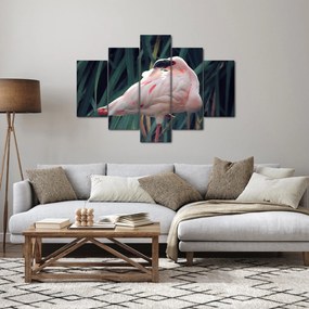 Obraz - Plameniak (150x105 cm)