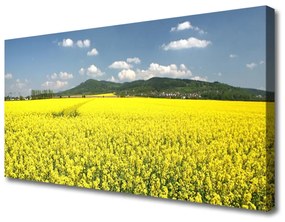 Obraz Canvas Pole lúka príroda repky olejnej 100x50 cm