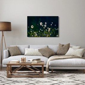 Obraz - Tráva (90x60 cm)