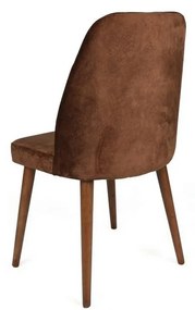 Súprava jedálenských stoličiek Alfa Brown and Walnut, 2 ks