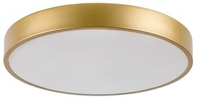 Rabalux 71037 - LED stropné svietidlo TESIA LED/36W/230V 3000K