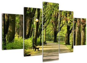 Cesta v parku - obraz