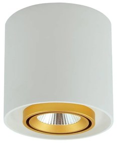 LED Bodové svietidlo XENO LED/15W/230V biela 1200lm