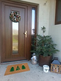 Hanse Home, Rohožka 3 stromy vianočné 105671 – na von aj na doma, 45x75, zelená, chodba / predsieň