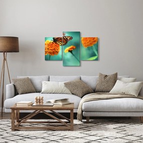 Obraz motýľa (90x60 cm)