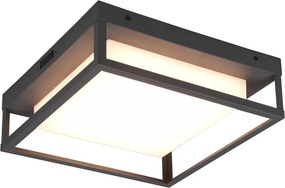 LED nástenné vonkajšie svietidlo (výška 10 cm) Witham - Trio