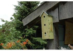 Drevená vtáčia búdka Triple – Esschert Design