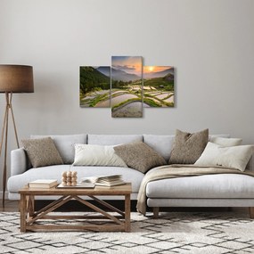 Obraz - Ryžové terasy (90x60 cm)