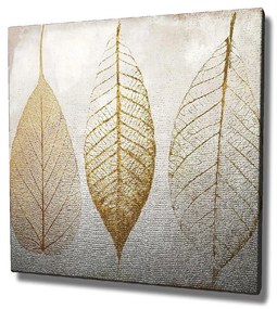 Obraz na plátne Reece, 45 × 45 cm