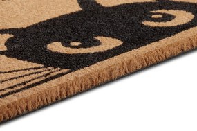 Hanse Home Collection koberce Rohožka Mix Mats Cocos 105703 - 45x70 cm