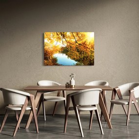 Obraz - Jesenný strom (90x60 cm)