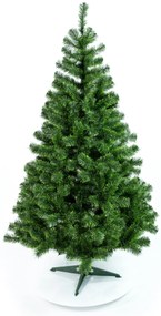 Limpol Smrek Tomek 1,80 m