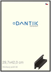 DANTIK rám na obraz 29,7x42 | ALU Černá matná (Plexi Čiré)