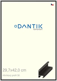 DANTIK rám na obraz 29,7x42 | ALU Černá matná (Plexi Čiré)