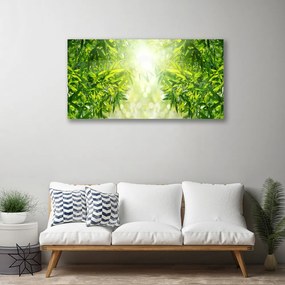 Obraz na plátne Listy príroda rastlina 100x50 cm