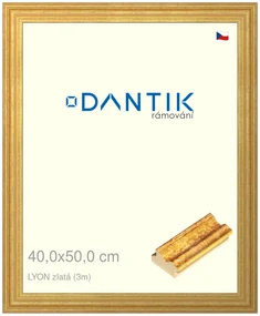 DANTIK rám na obraz 40x50 | LYON zlatá (Sklo Čiré)
