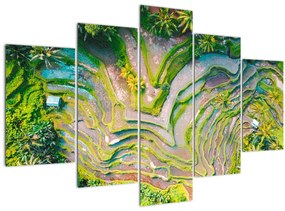 Obraz ryžových polí z vtáčej perspektívy (150x105 cm)