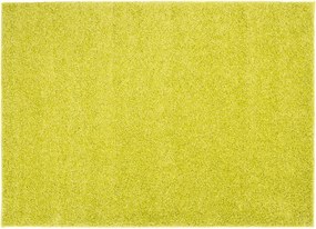 TA Koberec 6365A SVETLOZELENÁ TOKIO PRE Rozmer: 60x200 cm