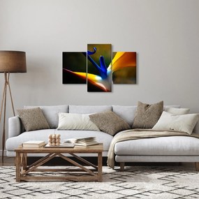 Obraz - Exotický kvet (90x60 cm)