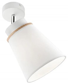 Nástenné bodové svietidlo AGUSTINO 1xE27/60W/230V biela