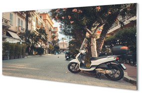 Obraz na skle mestské Motocykle palmového leta 120x60 cm