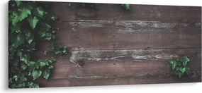 Obraz - Brečtan (120x50 cm)