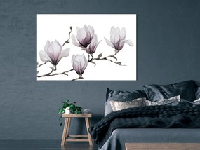 Artgeist Obraz - Painted Magnolias (1 Part) Wide Veľkosť: 30x20, Verzia: Na talianskom plátne