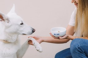 Bella Rose Porcelánová miska Dej pac  450 ml