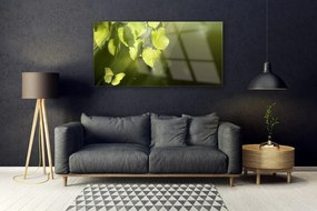 Obraz plexi Listy slnko lúče 120x60 cm