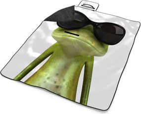 Sablio Plážová deka Žaba v okuliaroch: 200x140 cm